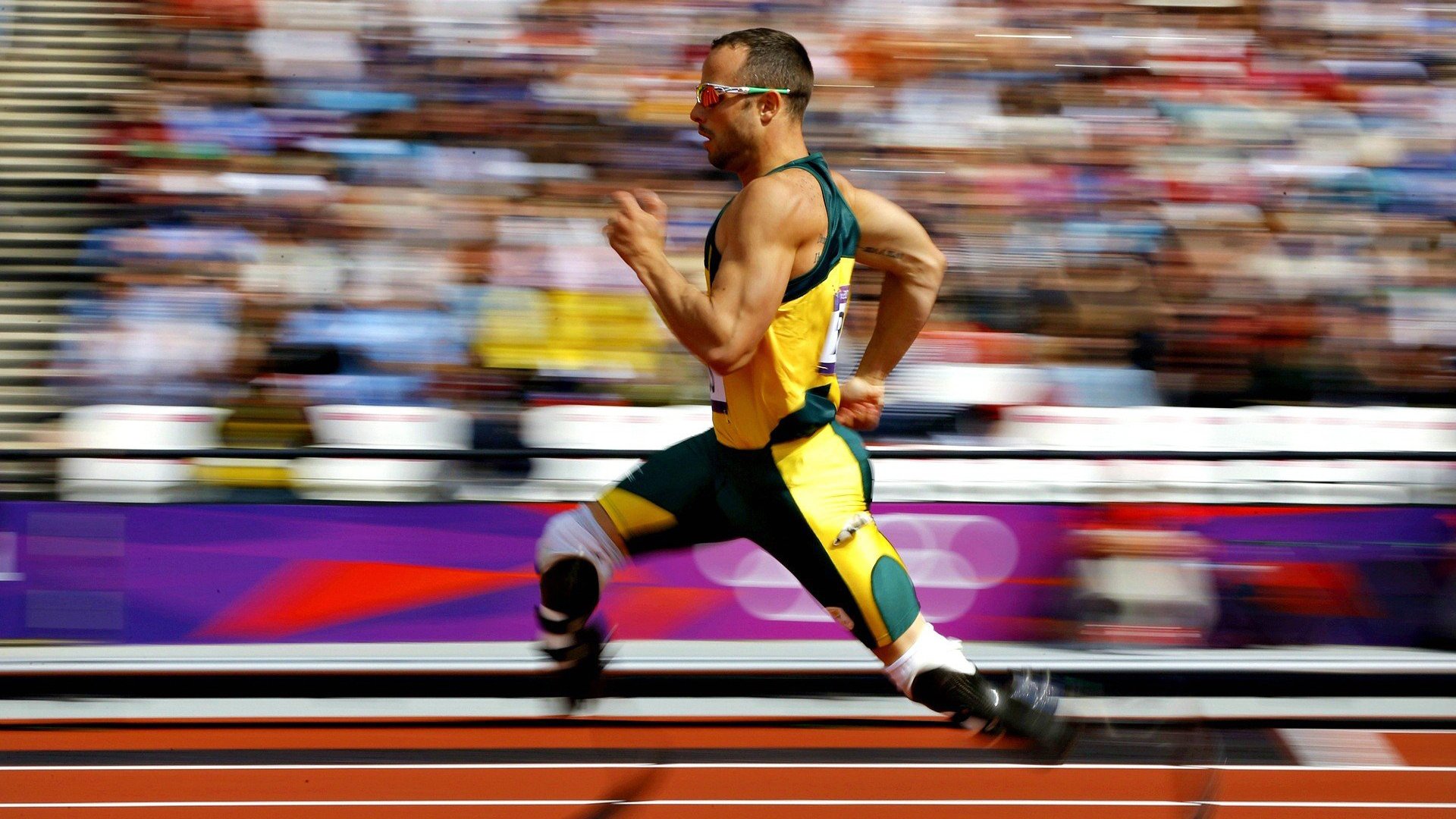 运动训练课程标准体系与学段分级机制研究，运动训练专业教学标准